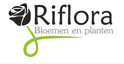 riflora bloemen