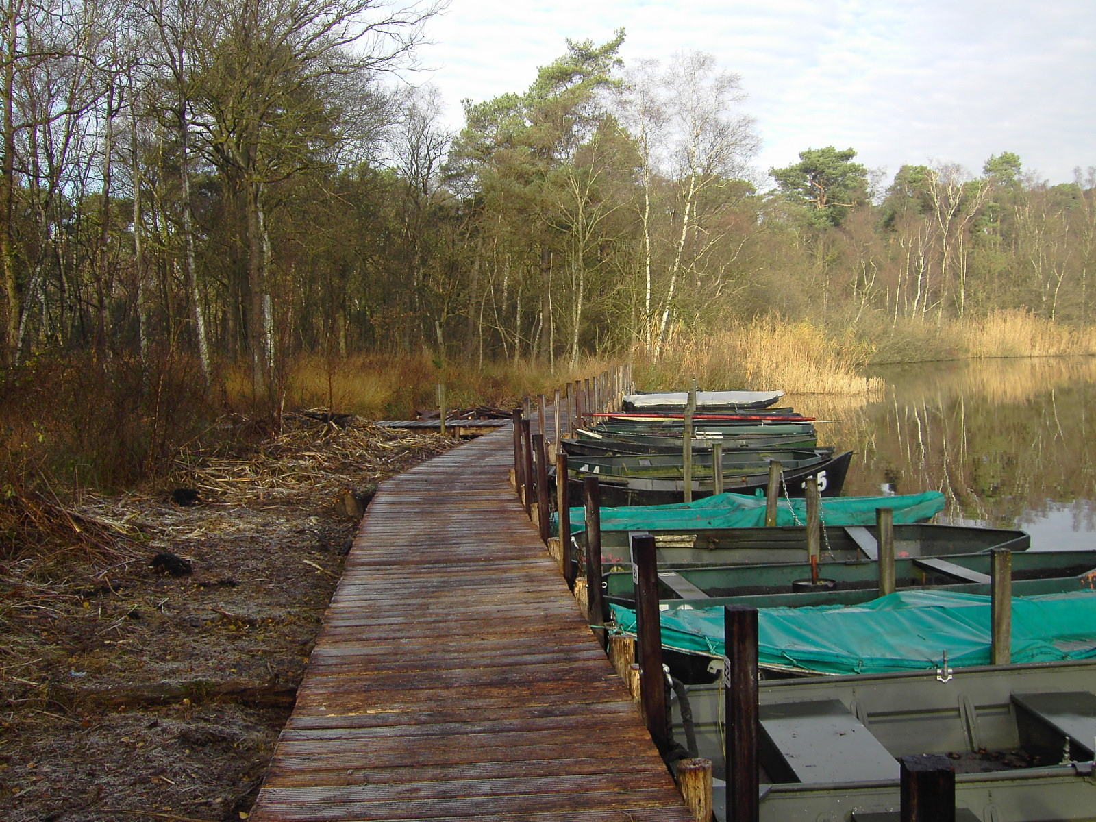 Kolkven_30-11-2012_3